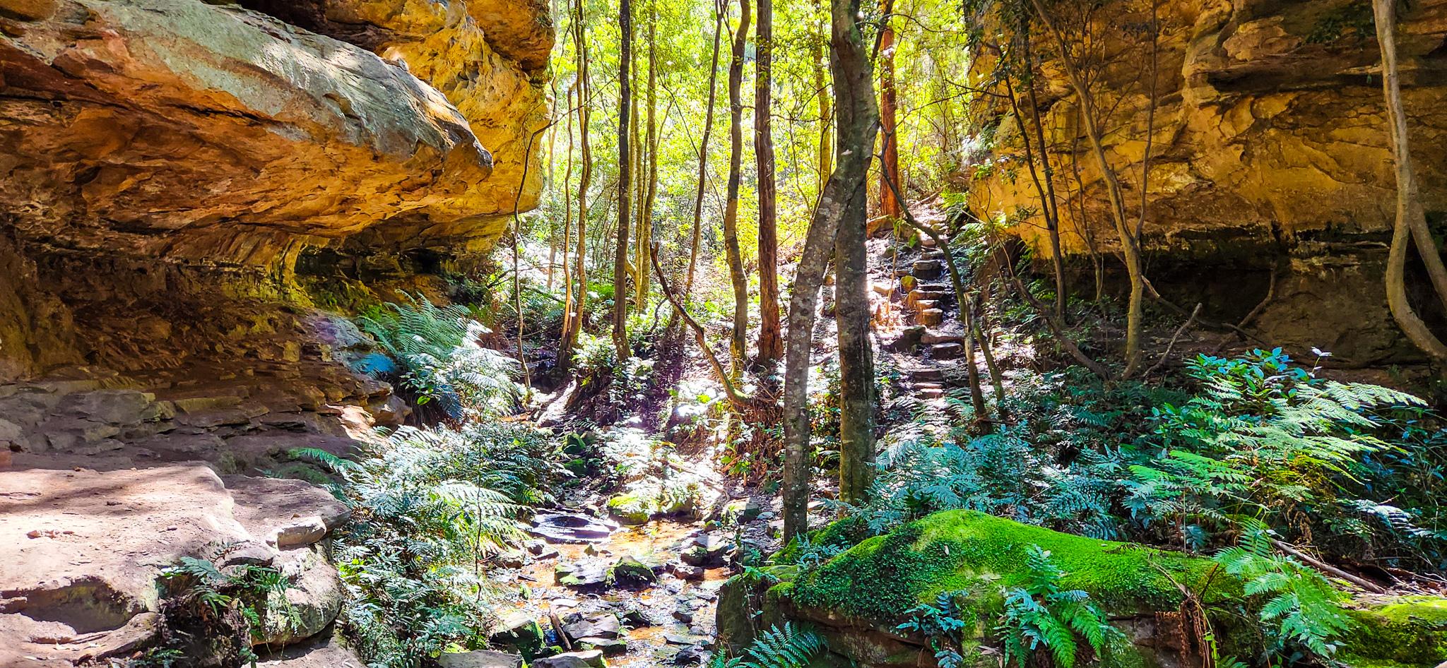 Porters Pass Gully